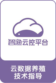 &#20061;&#28216;&#23448;&#26041;&#31449;&#32593;&#39029;&#29256;&#45;&#20061;&#28216;&#40;&#20013;&#22269;&#41;